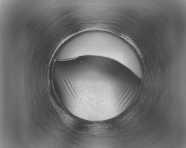 X0000054400980200508192000