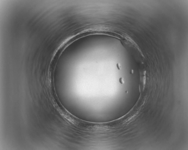 X0000054400981200508192000