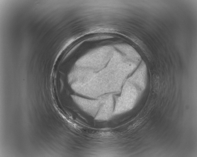 X0000054400982200508192000