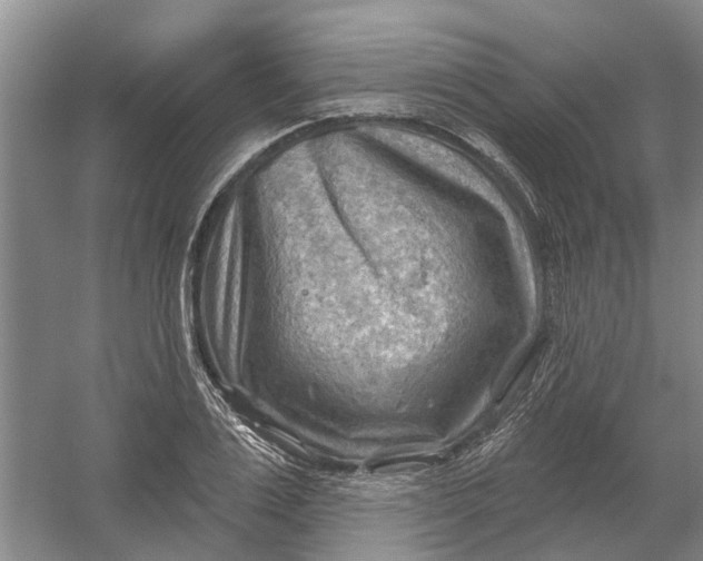 X0000054400983200508192000