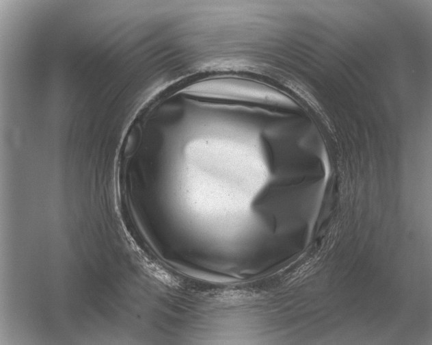 X0000054400984200508192000