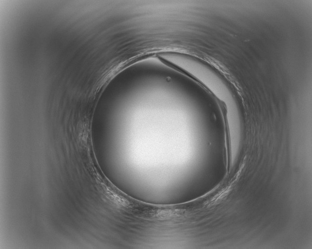 X0000054400985200508192000