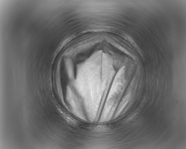 X0000054400986200508192000