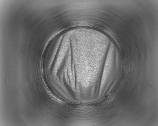 X0000054400987200508192000