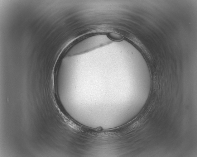 X0000054400988200508192000