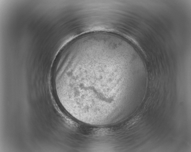 X0000054400991200508192000