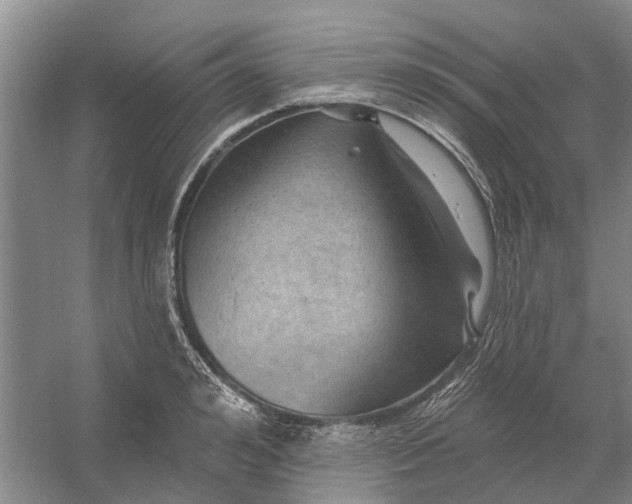 X0000054400992200508192000