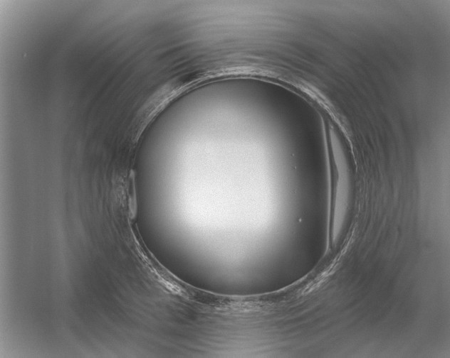 X0000054400993200508192000