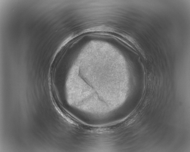 X0000054400998200508192000