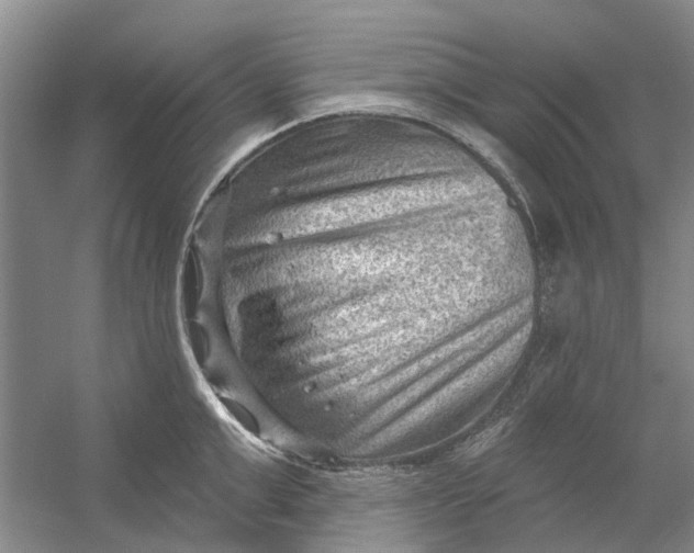 X0000054400999200508192000