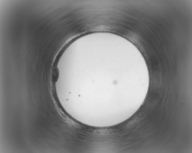 X0000054401000200508192000