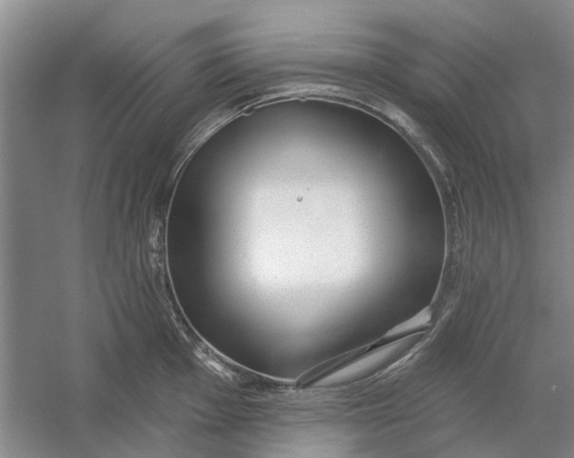 X0000054401001200508192000