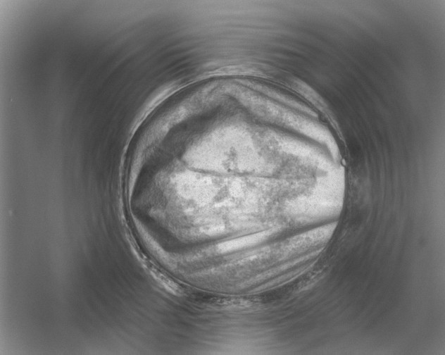 X0000054401002200508192000