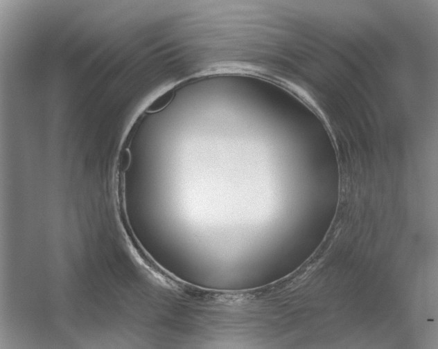 X0000054401003200508192000