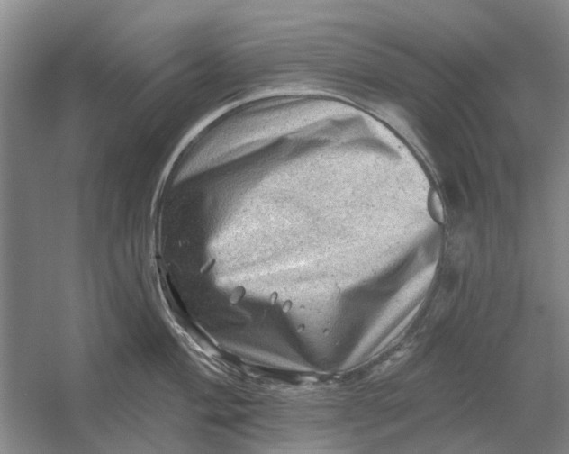 X0000054401004200508192000