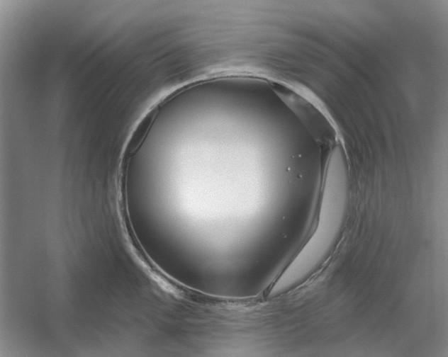 X0000054401005200508192000