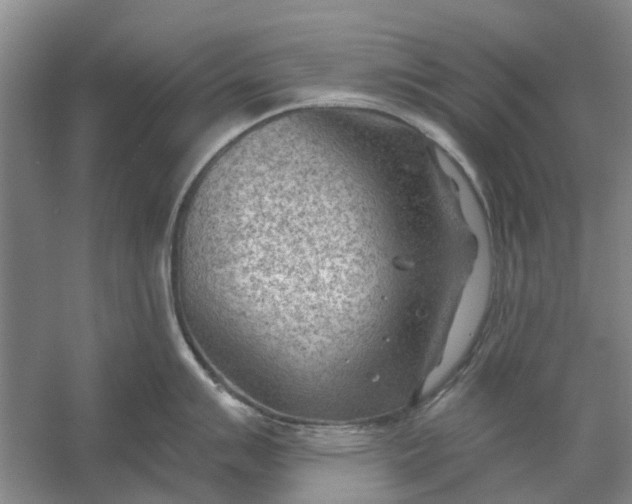 X0000054401007200508192000