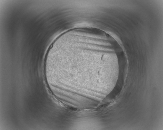 X0000054401008200508192000