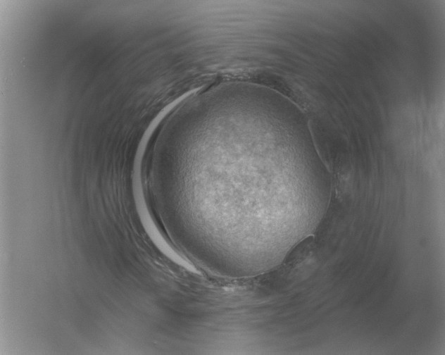 X0000054401010200508191959