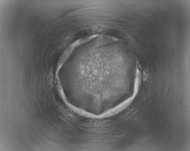 X0000054401011200508191959