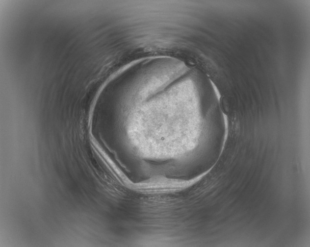 X0000054401012200508191959