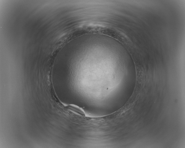 X0000054401013200508191959