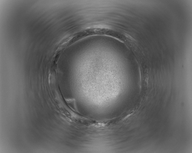 X0000054401014200508191959