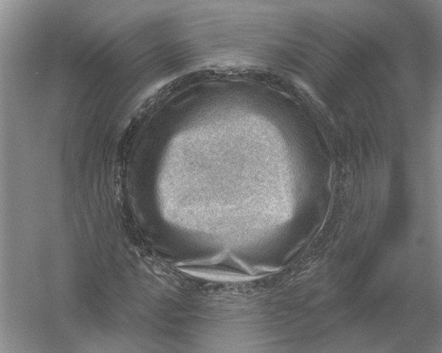 X0000054401016200508191959