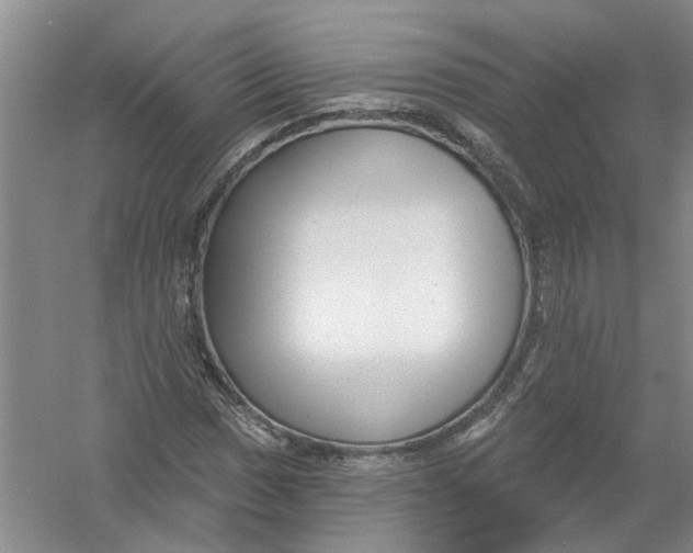 X0000054401017200508191959