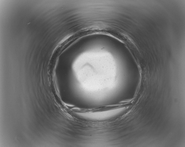 X0000054401018200508191959