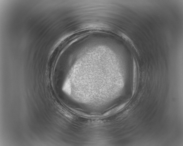 X0000054401019200508191959