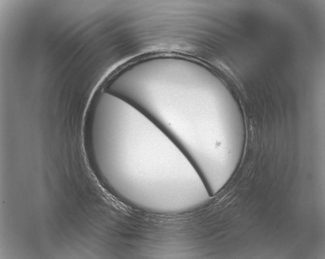 X0000054401020200508191959