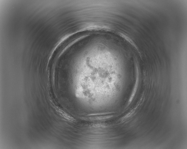 X0000054401021200508191959