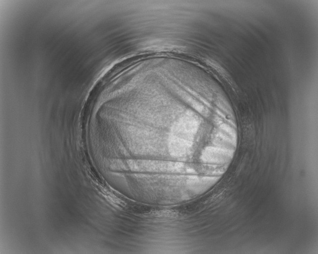 X0000054401023200508191959