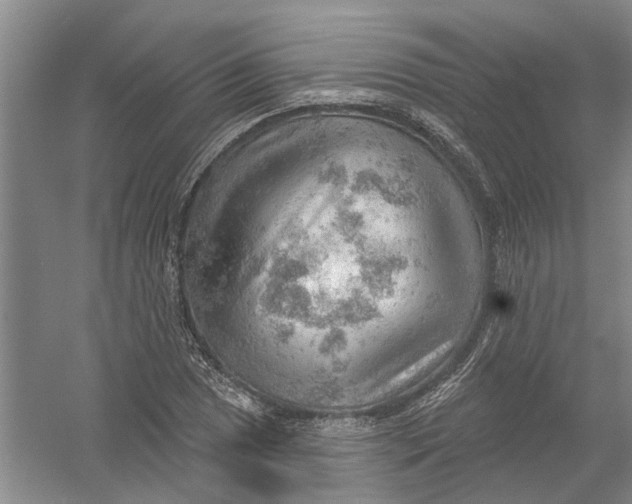 X0000054401025200508191959