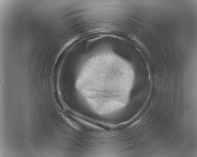 X0000054401026200508191959