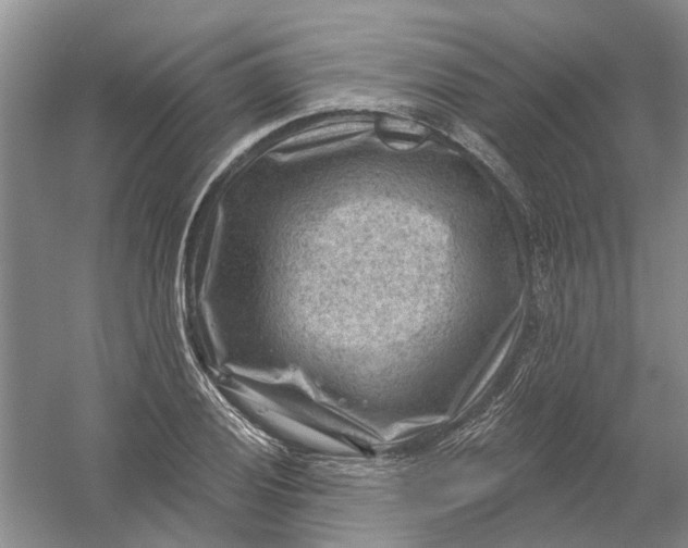 X0000054401028200508191959