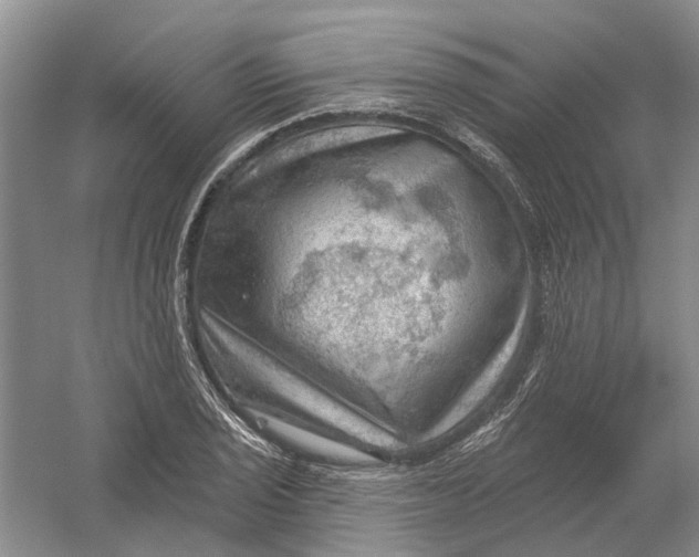 X0000054401029200508191959