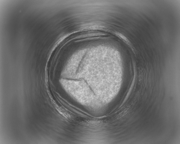 X0000054401031200508191959