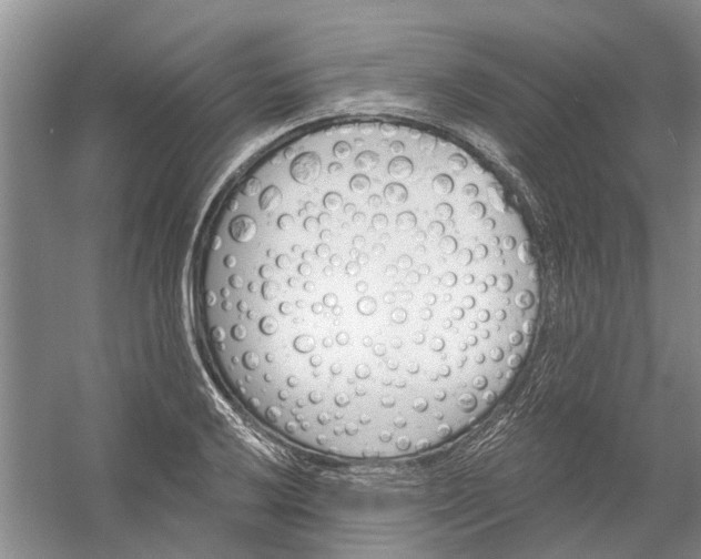 X0000054401032200508191959