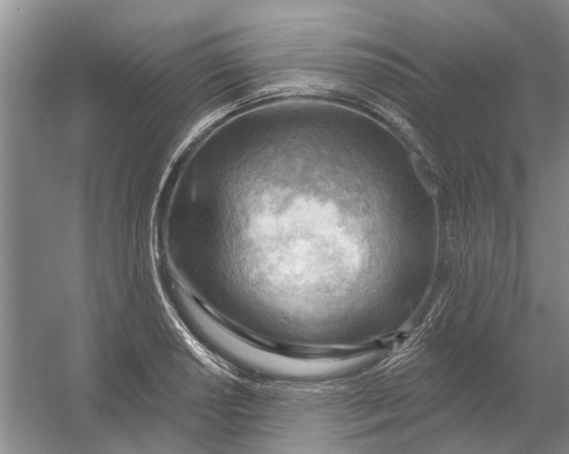 X0000054401034200508191959