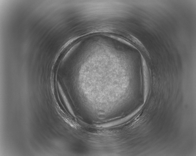 X0000054401035200508191959