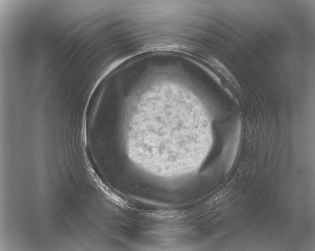 X0000054401036200508192000