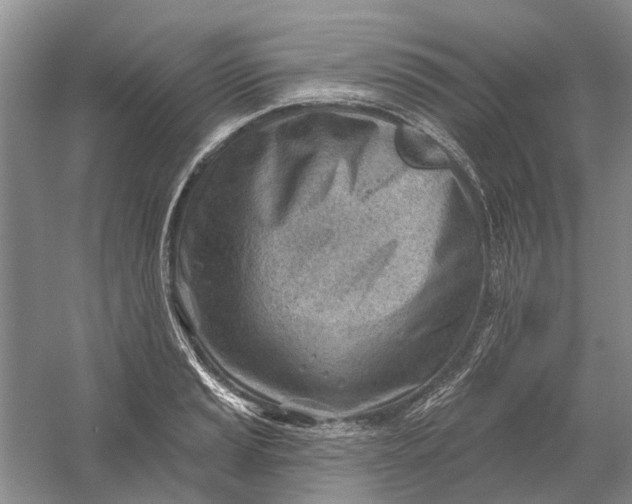 X0000054401037200508192000