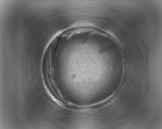 X0000054401038200508192000