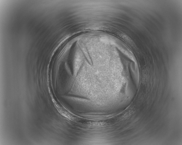 X0000054401039200508192000