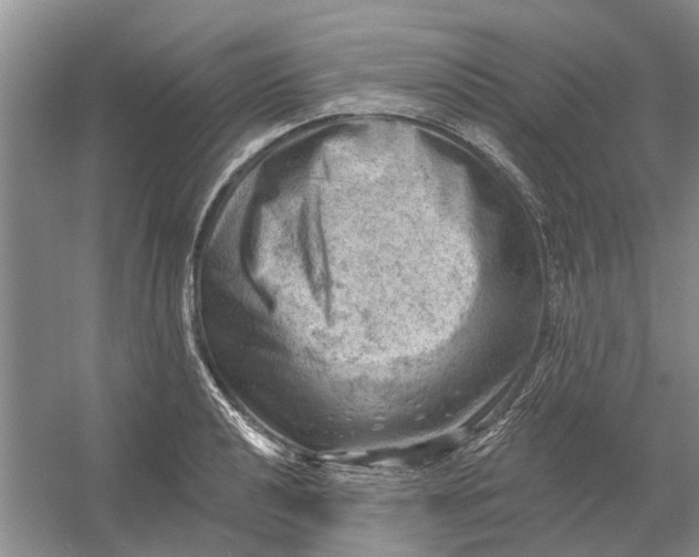 X0000054401040200508192000