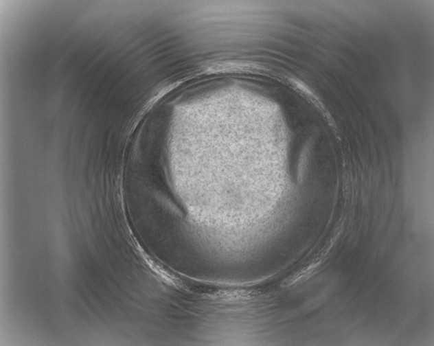 X0000054401041200508192000