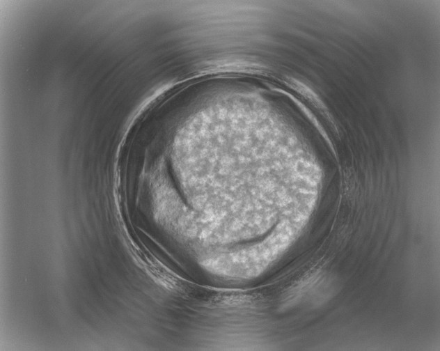 X0000054401043200508192000