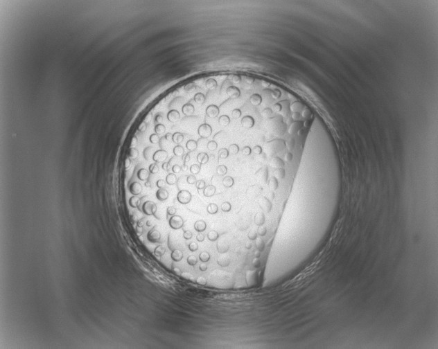 X0000054401044200508192000